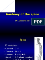 Anatomy of Spine