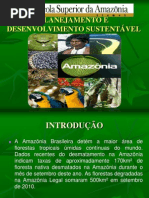 PLANEJAMENTO E DESENVOLVIMENTO SUSTENTÁVEL  TAUANI