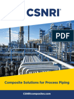 CSNRI ProcessBrochure 23june2023