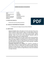 Informe Machover