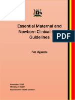 Essential Maternal & Neonatal Care Clinical Guidelines - 2016 Fully Edited