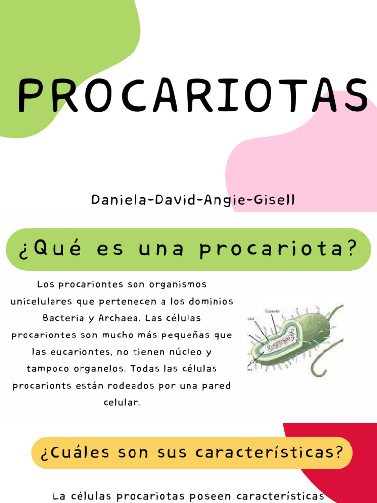 Características de las Procariotas | PDF | Ciencia y matemáticas
