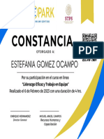 Constancia POR CURSO 