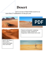 Desert Poster