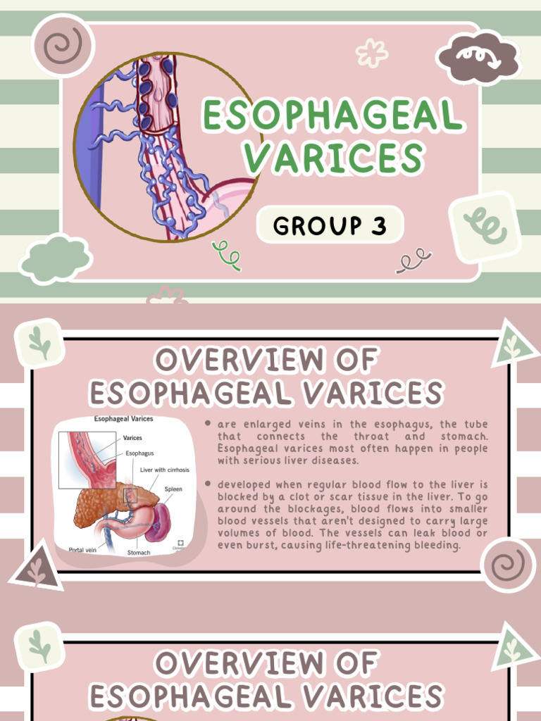 Understanding Esophageal Varices Risks | PDF | Cirrhosis | Esophagus