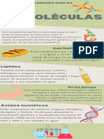 Infografía Biomoléculas