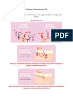 Princípios Biomecânicos em PPR