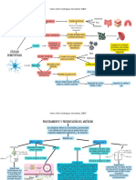 Brainstorm Mapa Mental Estructura de Lluvia de Ideas Formas Irregulares Multicolor (27.94 X 21.59 CM)