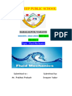 Fluid Mechanism Final