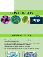 LOS HONGOS CC