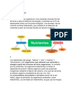 Trabajo de Nutrientes