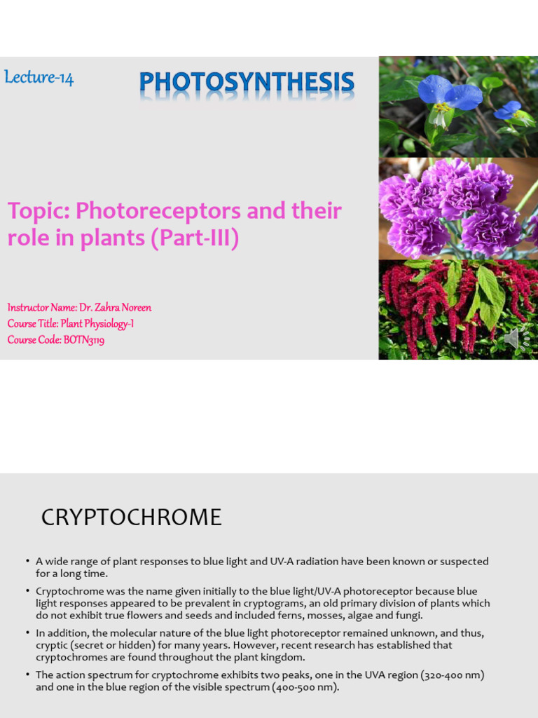 Lecture 14 PPI PDF Ultraviolet Flavonoid