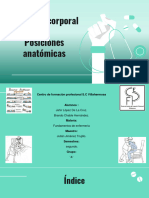 Mecanicas Corporales y Posiciones Anatomicas 1.1