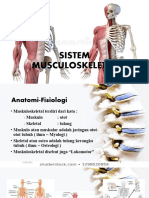 Sistem Musculoskeletal