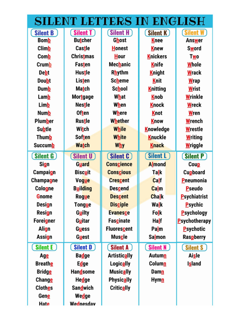 Basic English | PDF