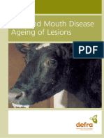 ++++ FMD - Photos - Foot and Mouth Disease Ageing of Lesions