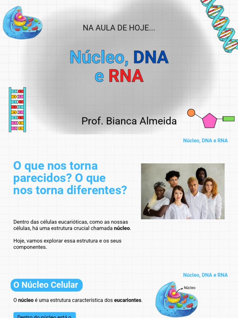 Núcleo J DNA e RNA - Power Point | PDF | RNA | DNA