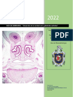 Embriología III Guía #1. Cavidad Bucal y Glándulas Salivales