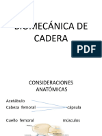 Biomecanica Miembro Inferior