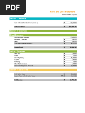 Profit and Loss Statement