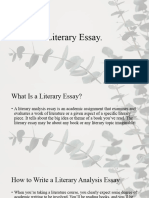 Literary Essay - EnG