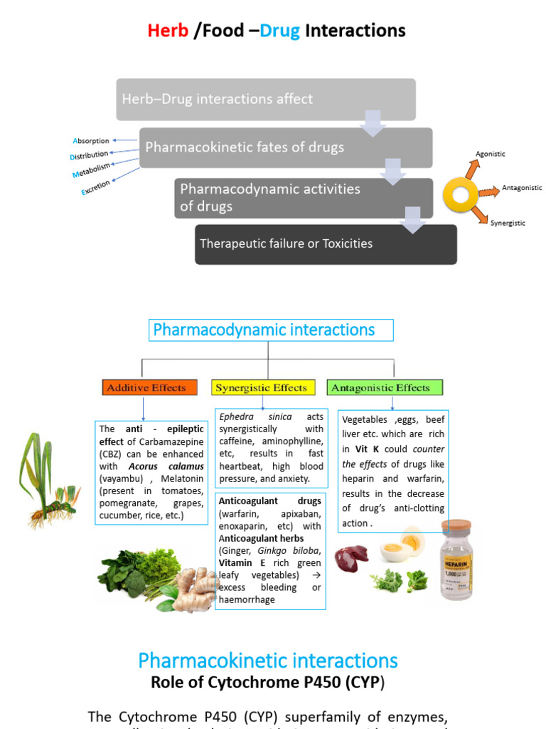 Herb Drug Interactions | PDF | Cytochrome P450 | Medicine