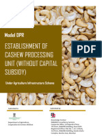 Cashew Project