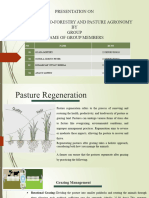 Pasture Regeneration (1)