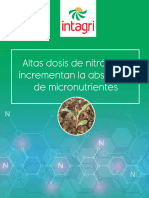 Altas Dosis de Nitrogeno Incrementan La Absorcion de Micronutrientes