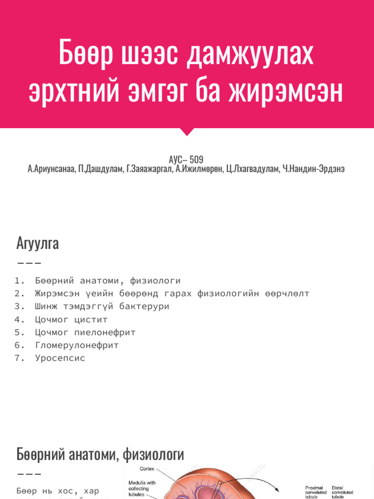Жирэмсэн Үеийн Бөөрний Эмгэг | PDF