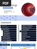 Prehn Sign | PDF | Sexual Anatomy | Male Genital Disorders