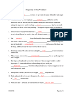 Respiratory System Worksheet Answers