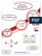 محددات الذات 24