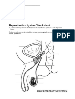 Reproduction Worksheet