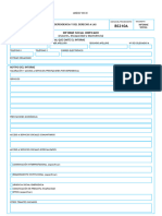 Informe Social (Anexo VIII-III)