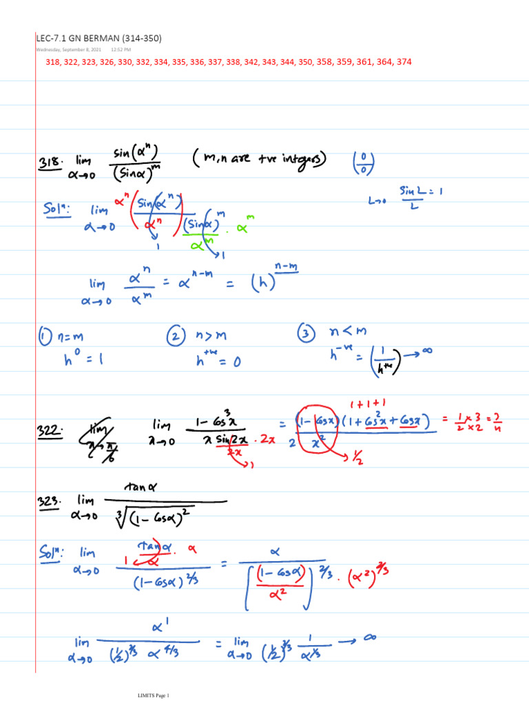 Limits Lecture Notes Summary | PDF