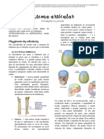 Sistema Articular