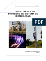 LIVROS Protecao - Sistema - Distribuicao