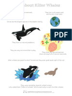 Killer Whale Facts For Kids Ilovepdf Compressed