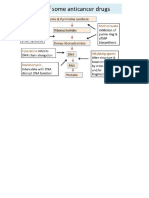 Endomembrane System