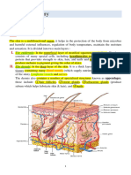 Human Anatomy - Lec. 2 - GR1