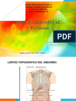 Pared Abdominal Mio