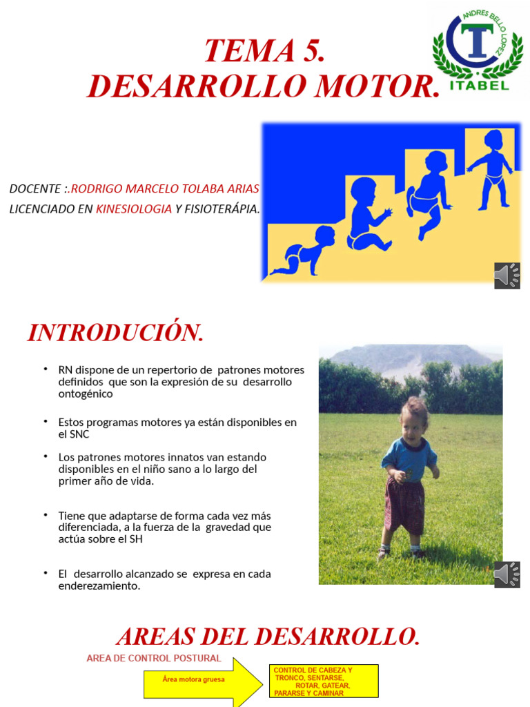 Tema 5. Desarrollo Motor. | PDF | Mano | Pelvis