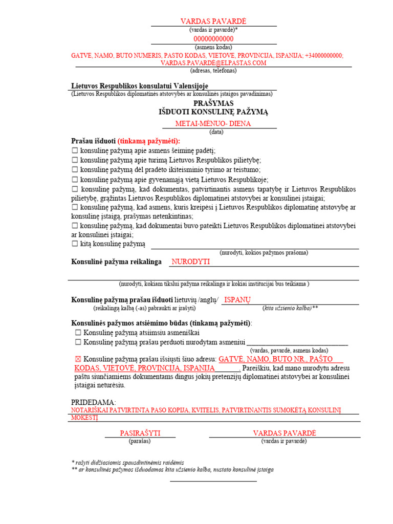 7-pra-ymas-i-duoti-konsulin-pa-ym-pdf