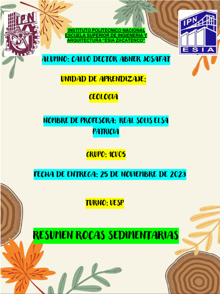 RESUMEN ROCAS SEDIMENTARIAS - Calvo - Dector - Abner - Josafat | PDF ...