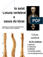 Coluna Vertebral e Torax ACS