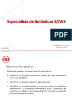 Especialista de Soldadura E-IWS