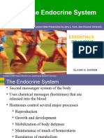 Endocrinology Nursing
