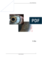 Iridologia - Atlas de oftalmologia