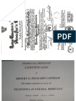 sertific1